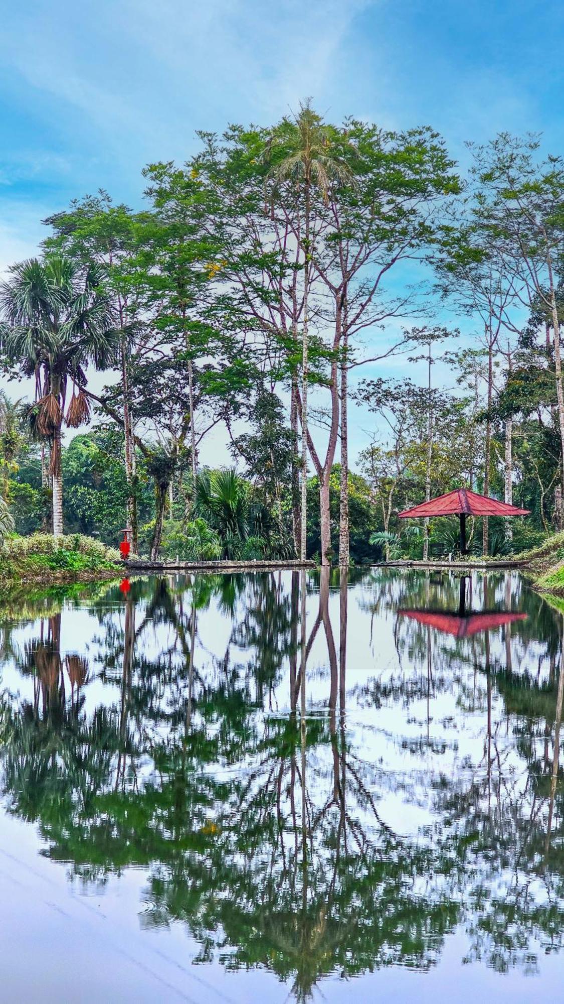 Hosteria Finca El Pigual Пуйо Экстерьер фото